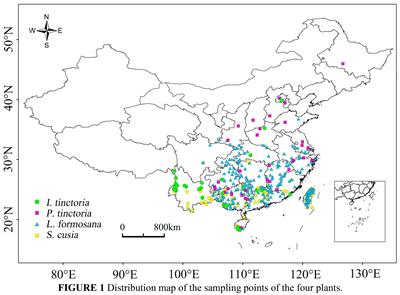 Predicting the distribution pattern changes of dye plant habitats caused by climate change